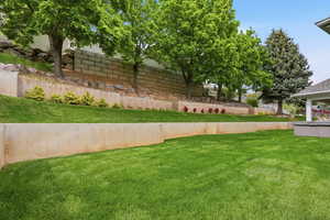 View of green lawn