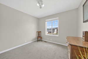 Office featuring light colored carpet and a textured ceiling