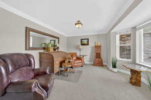Sitting room with ornamental molding and light colored carpet
