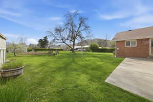 View of grassy yard