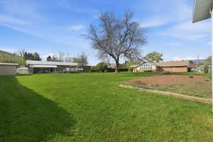 View of grassy yard