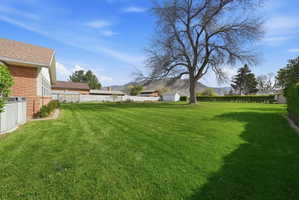 Fenced backyard with a mountain view and a storage unit