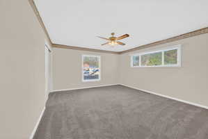 Empty room with healthy amount of natural light, ceiling fan, dark carpet, and crown molding
