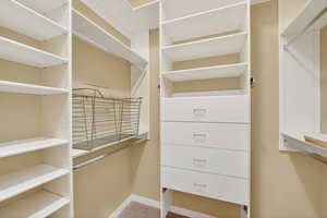 View of walk in closet