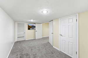 Finished below grade area with a textured ceiling and carpet flooring