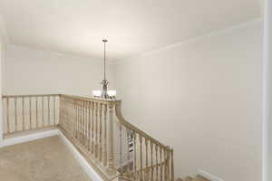 Stairway with carpet flooring, suspended lighting, and crown molding