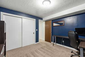 basement bedroom