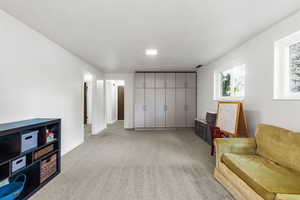 tons of natural light in the basement