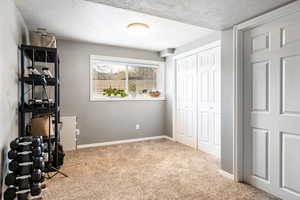 Office area featuring light colored carpet and a textured ceiling