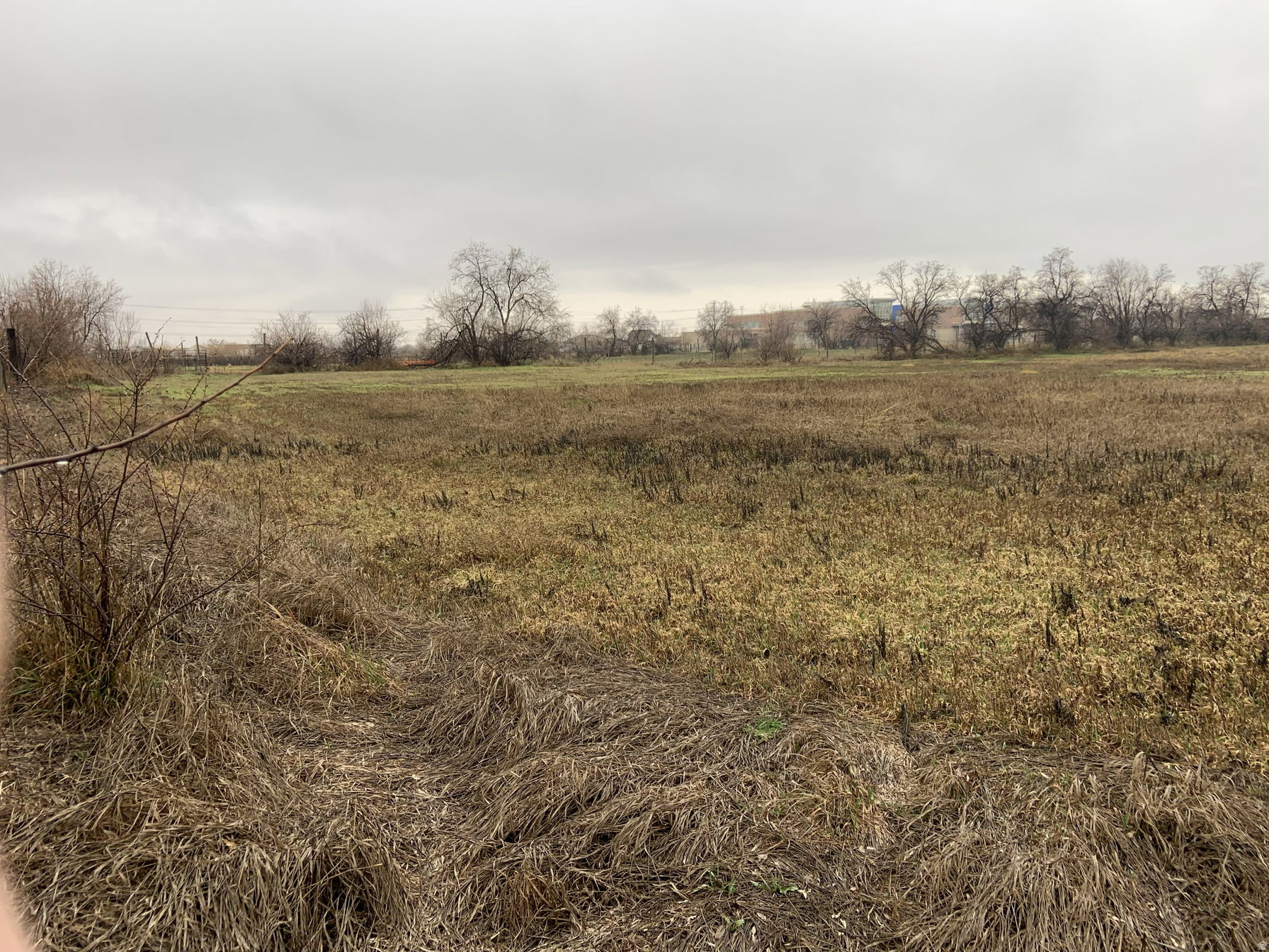 View of undeveloped land with rural landscape