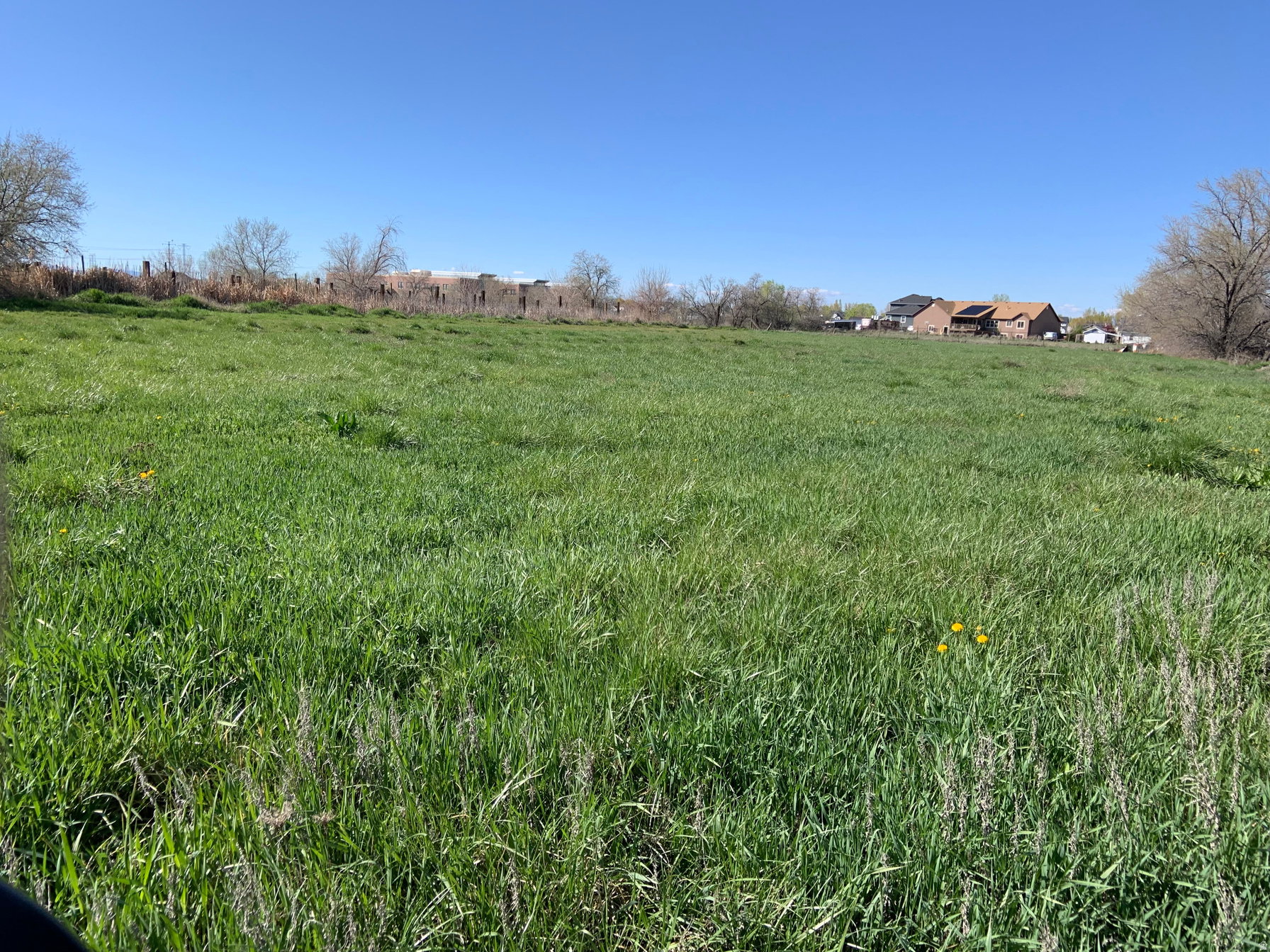 View of yard featuring a rural view
