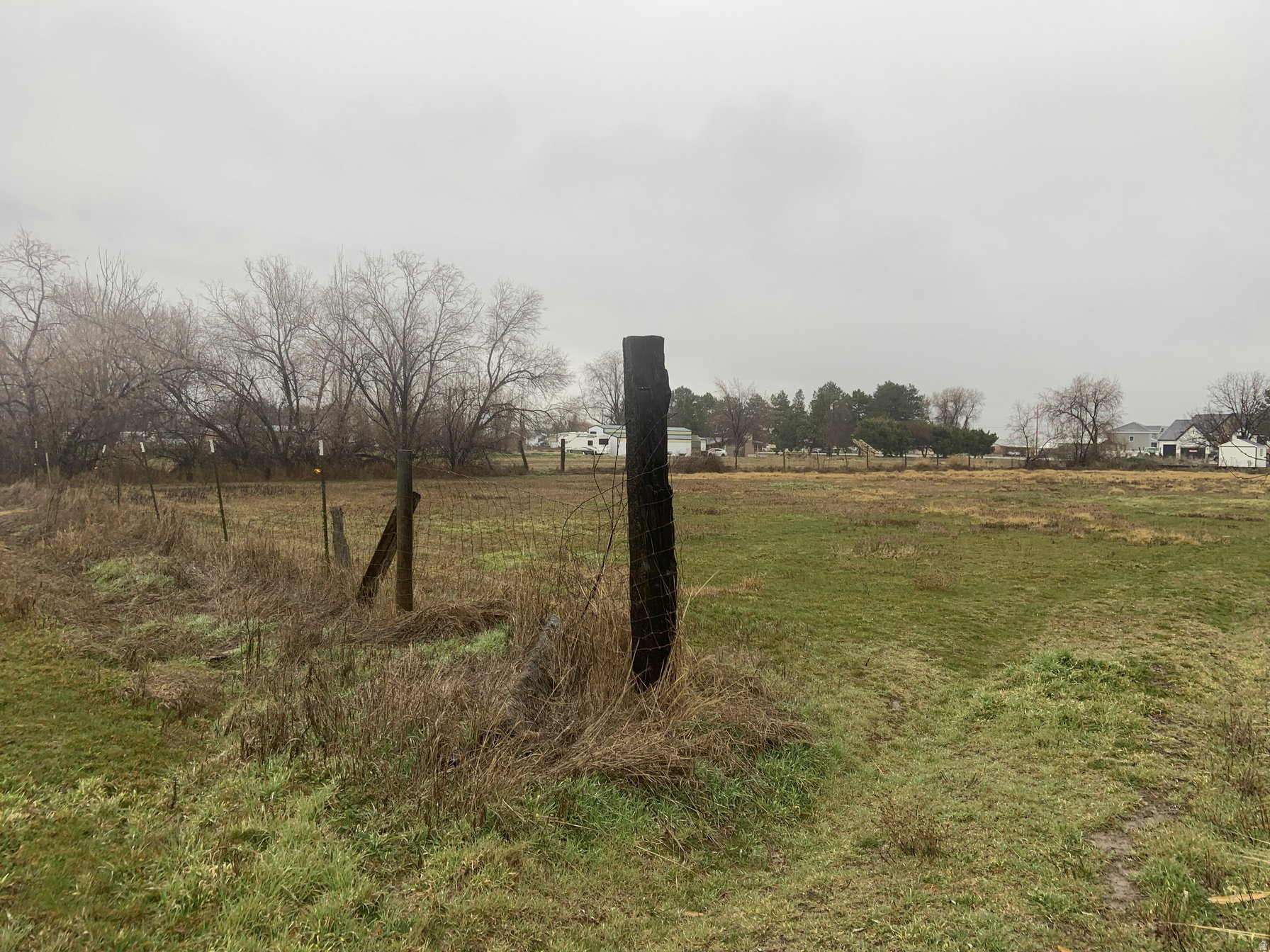 View of yard featuring a view of rural / pastoral area