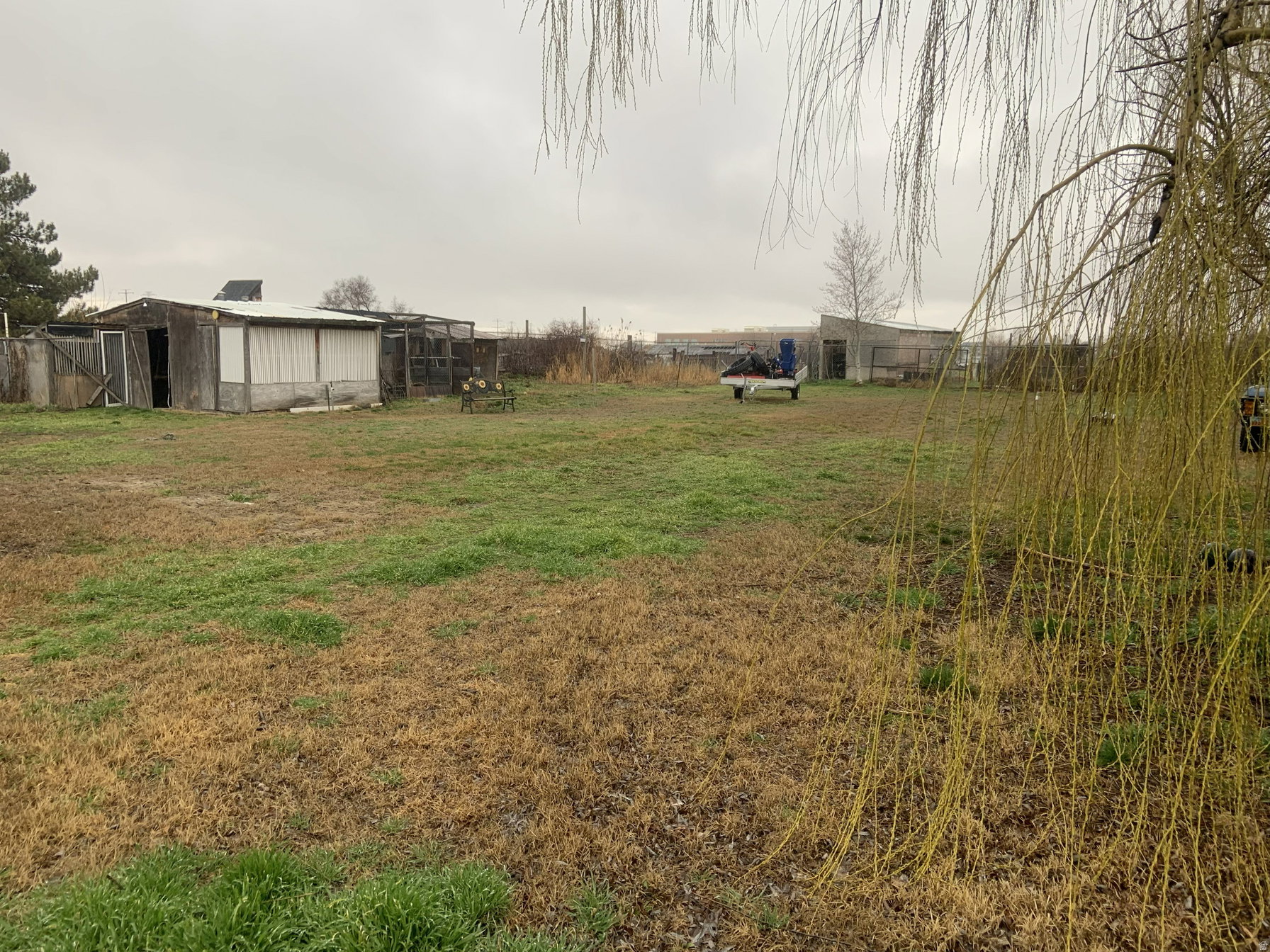 View of yard with an outdoor structure