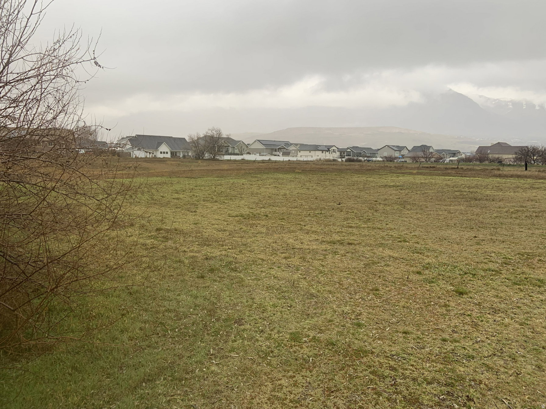 View of grassy yard featuring a residential view