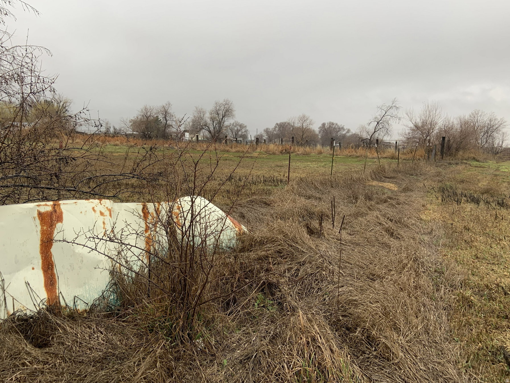 Water view with rural landscape