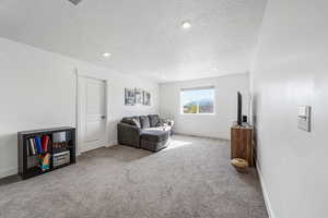 Living area with carpet floors, a textured ceiling, and recessed lighting
