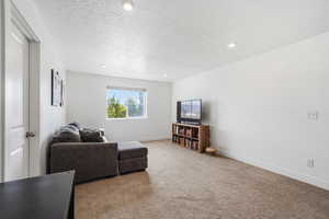 Living room with carpet floors, a textured ceiling, and recessed lighting