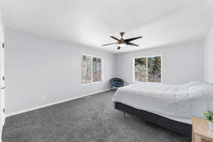 Spacious room featuring gray wall paint, gray carpeting, and multiple windows