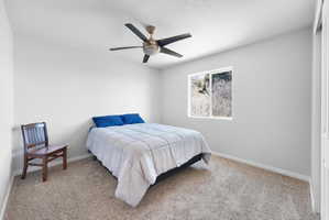 Bright room featuring light-toned walls, neutral carpet flooring, and a contemporary ceiling fan