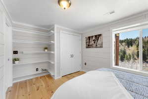 Room featuring light wood-finish flooring, white shiplap walls, built-in open shelving, and a double-door closet