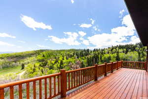 Wooden deck with a forest view