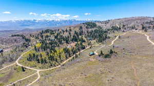 Expansive acreage featuring multiple dirt roads and diverse tree coverage