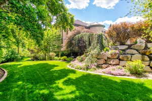 Private backyard