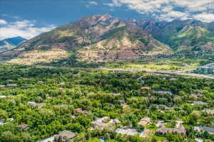 Mountain background