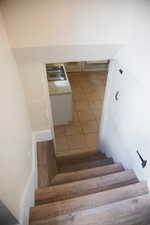 Stairs from outside entrance to the basement