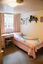 Basement Bedroom
