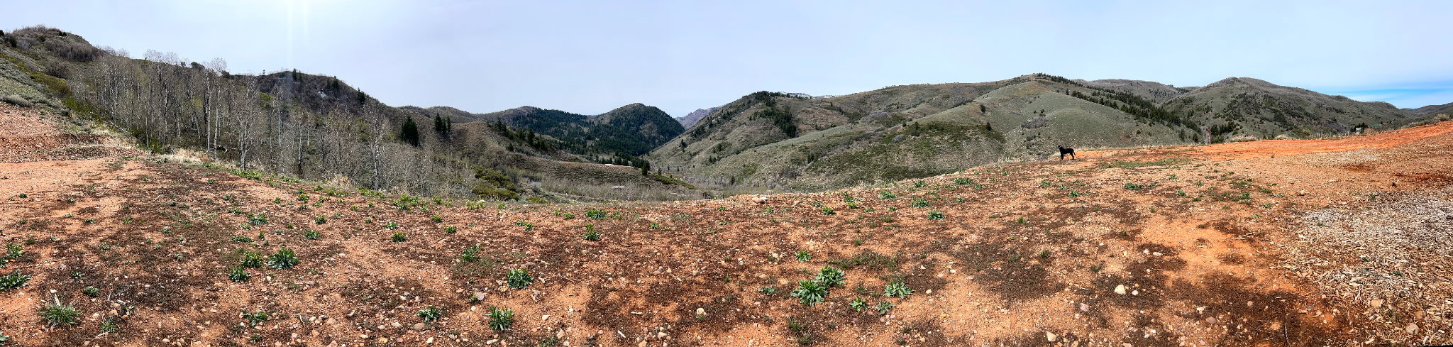 View of mountain background