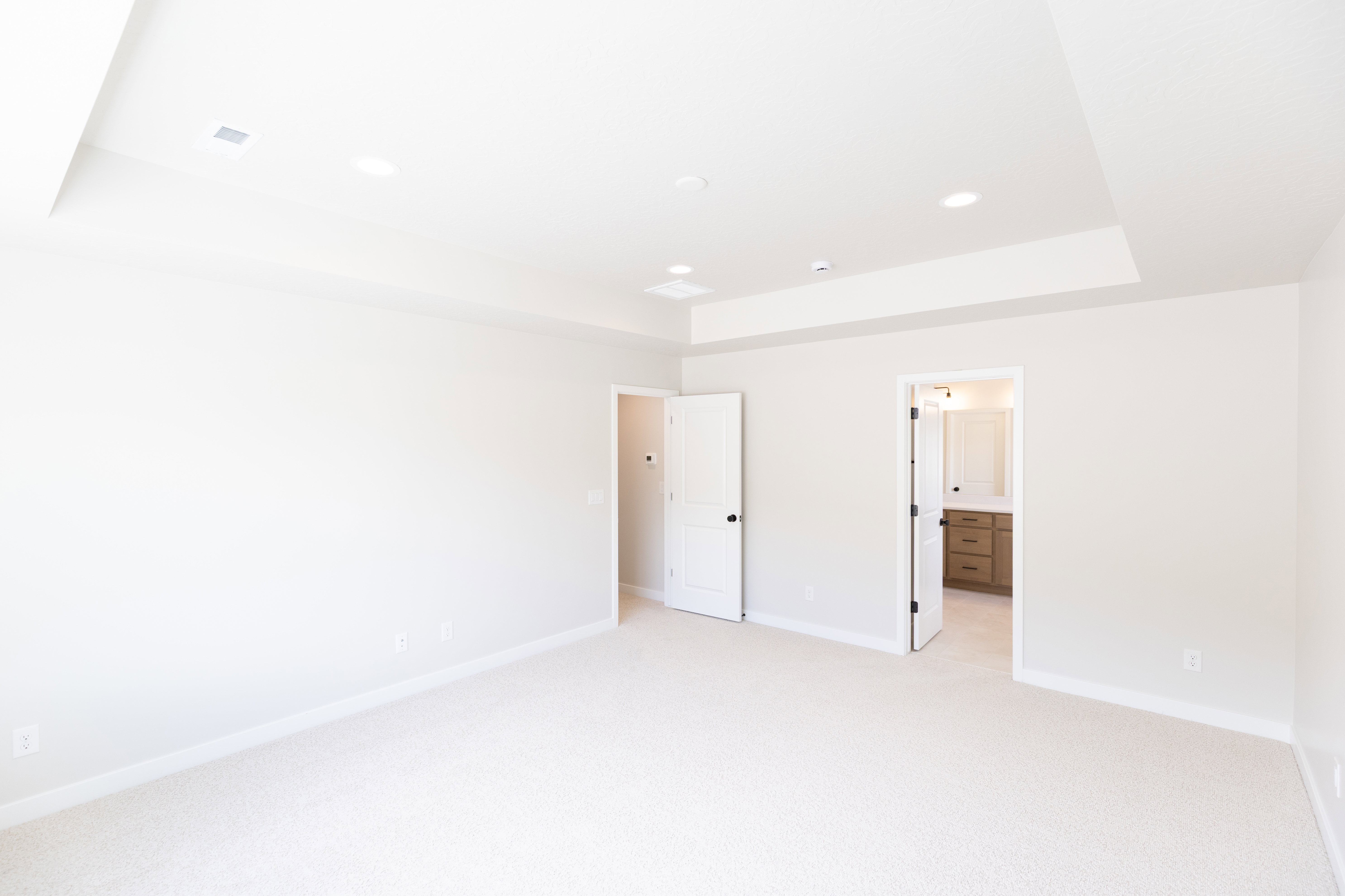 Master Bedroom with Tray Ceiling