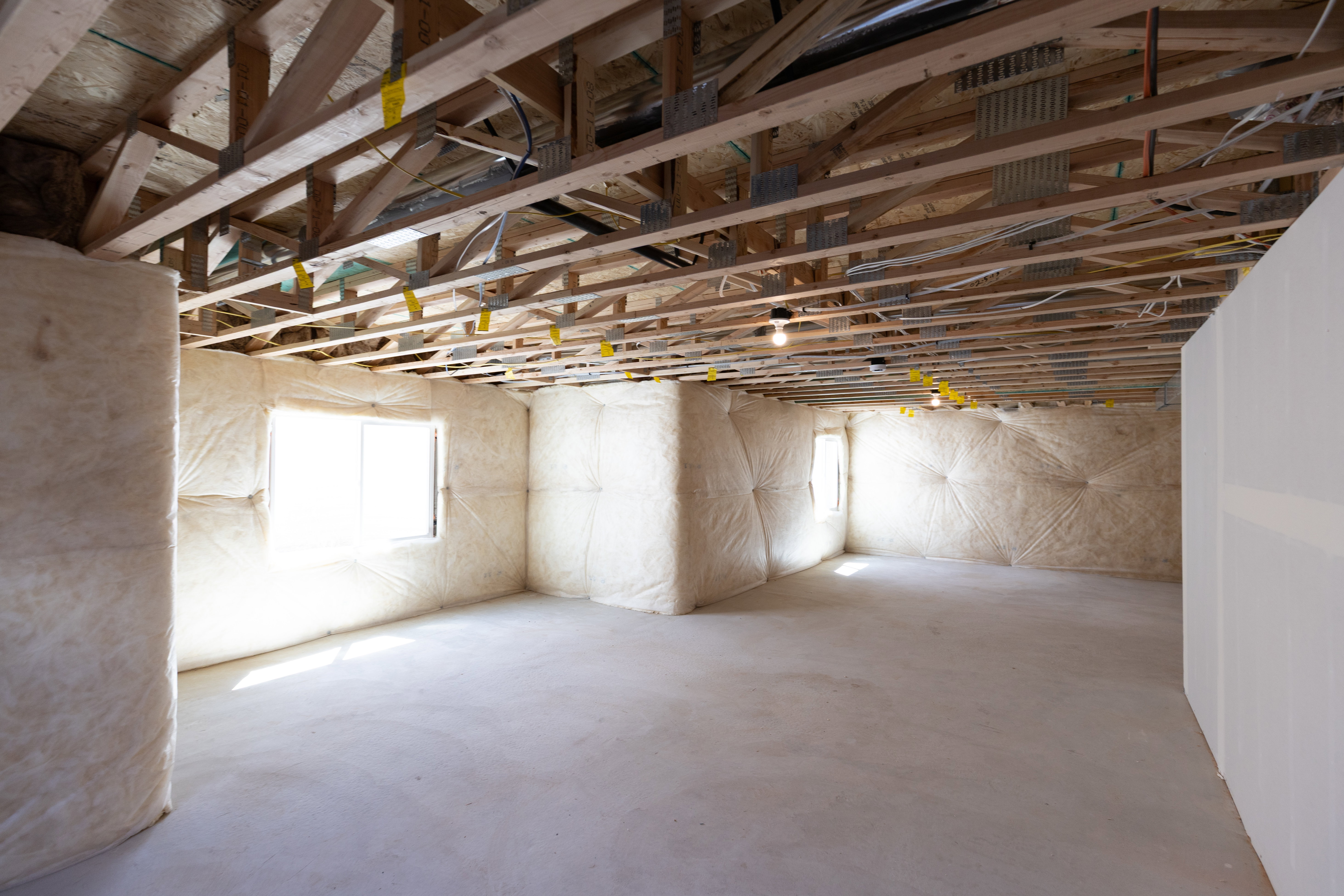 Unfinished Basement