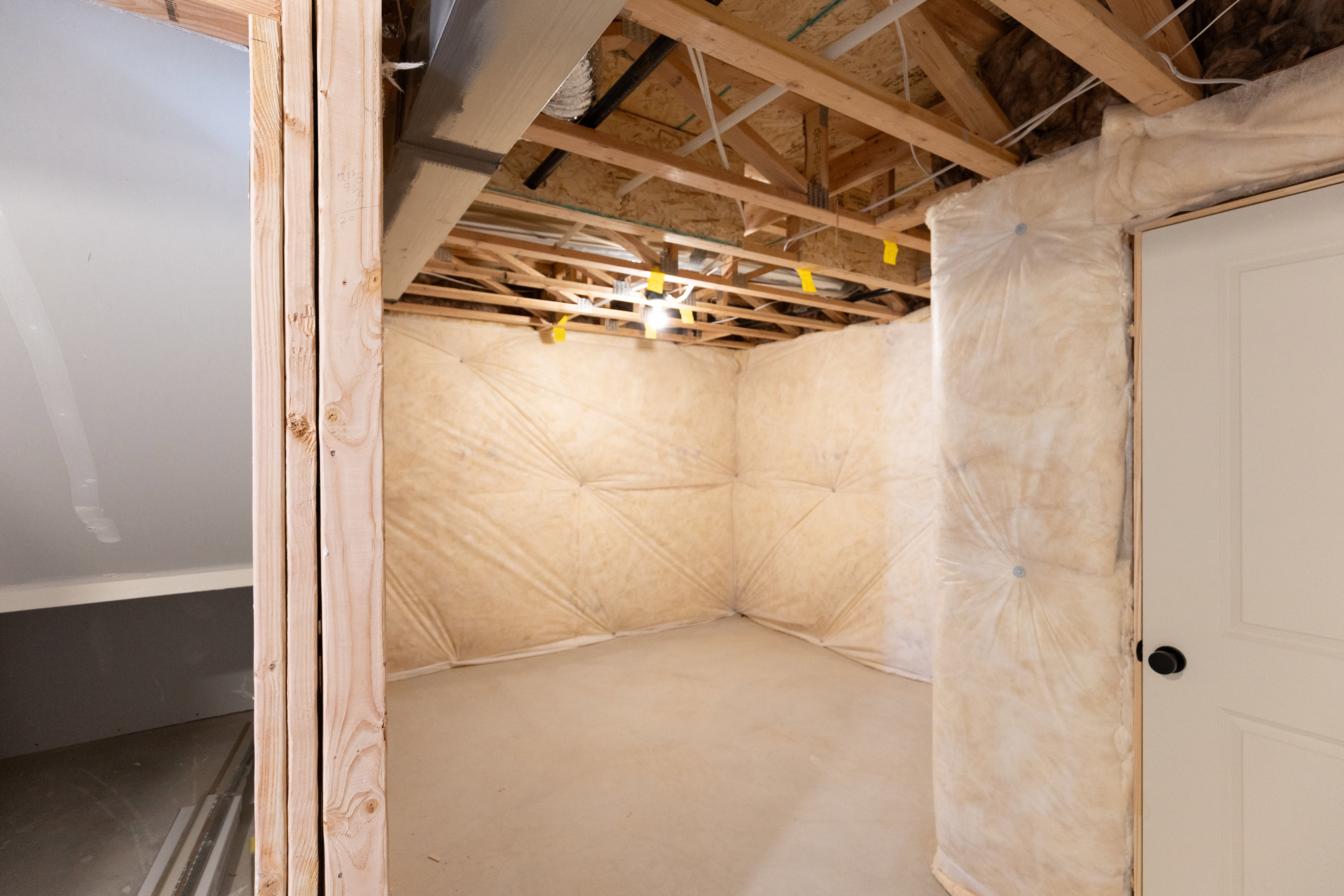 Unfinished Basement
