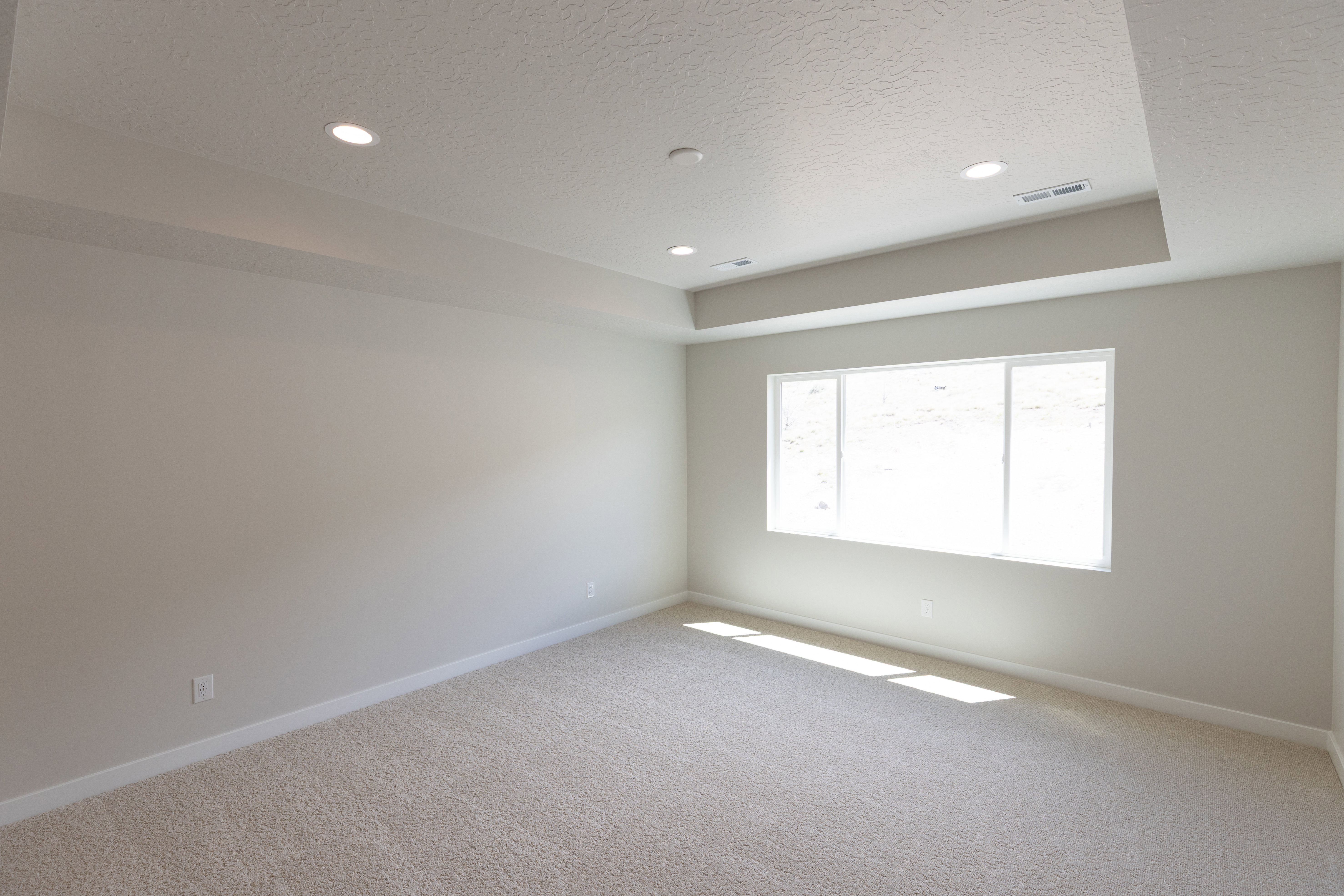 Master Bedroom with Tray Ceiling