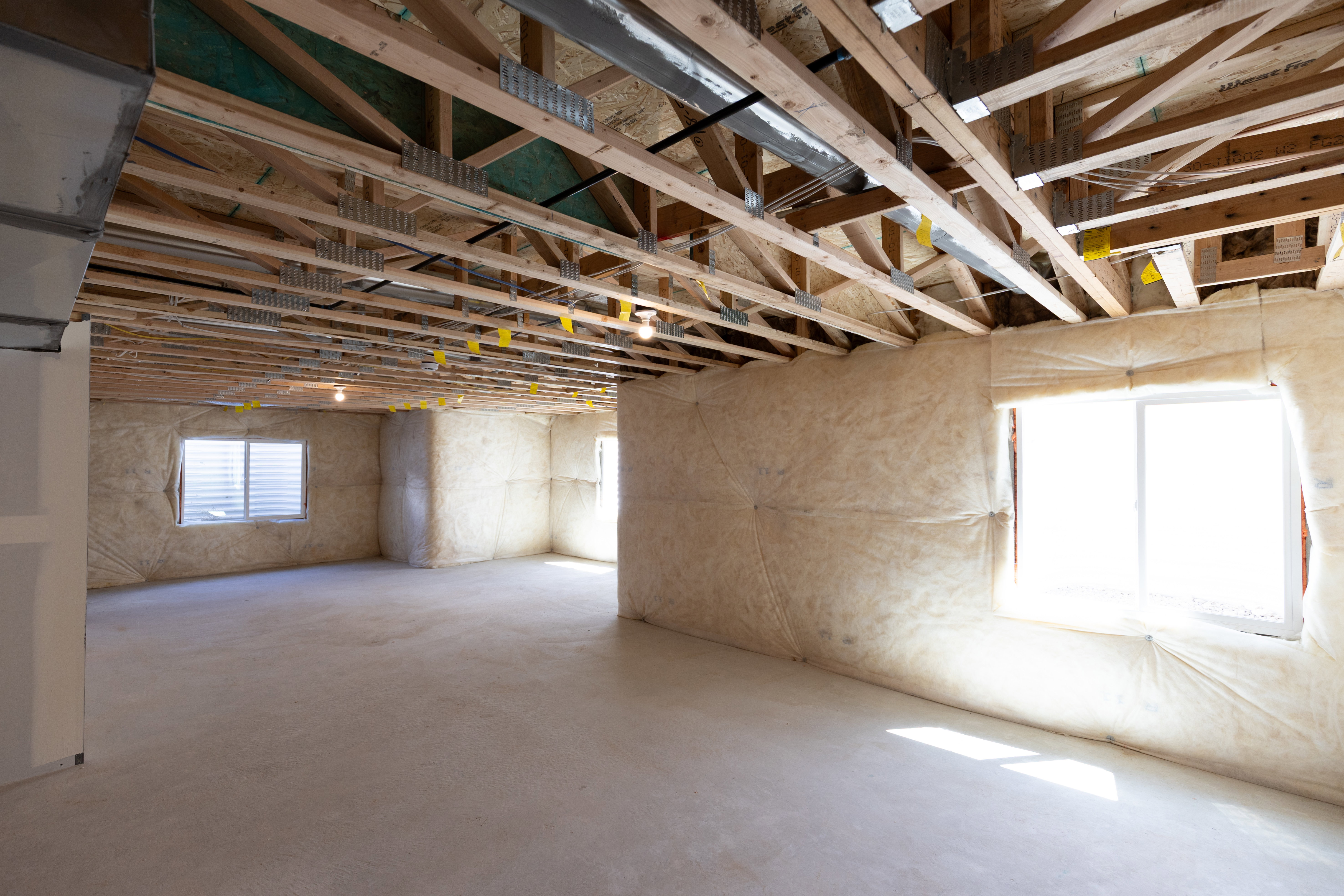 Unfinished Basement