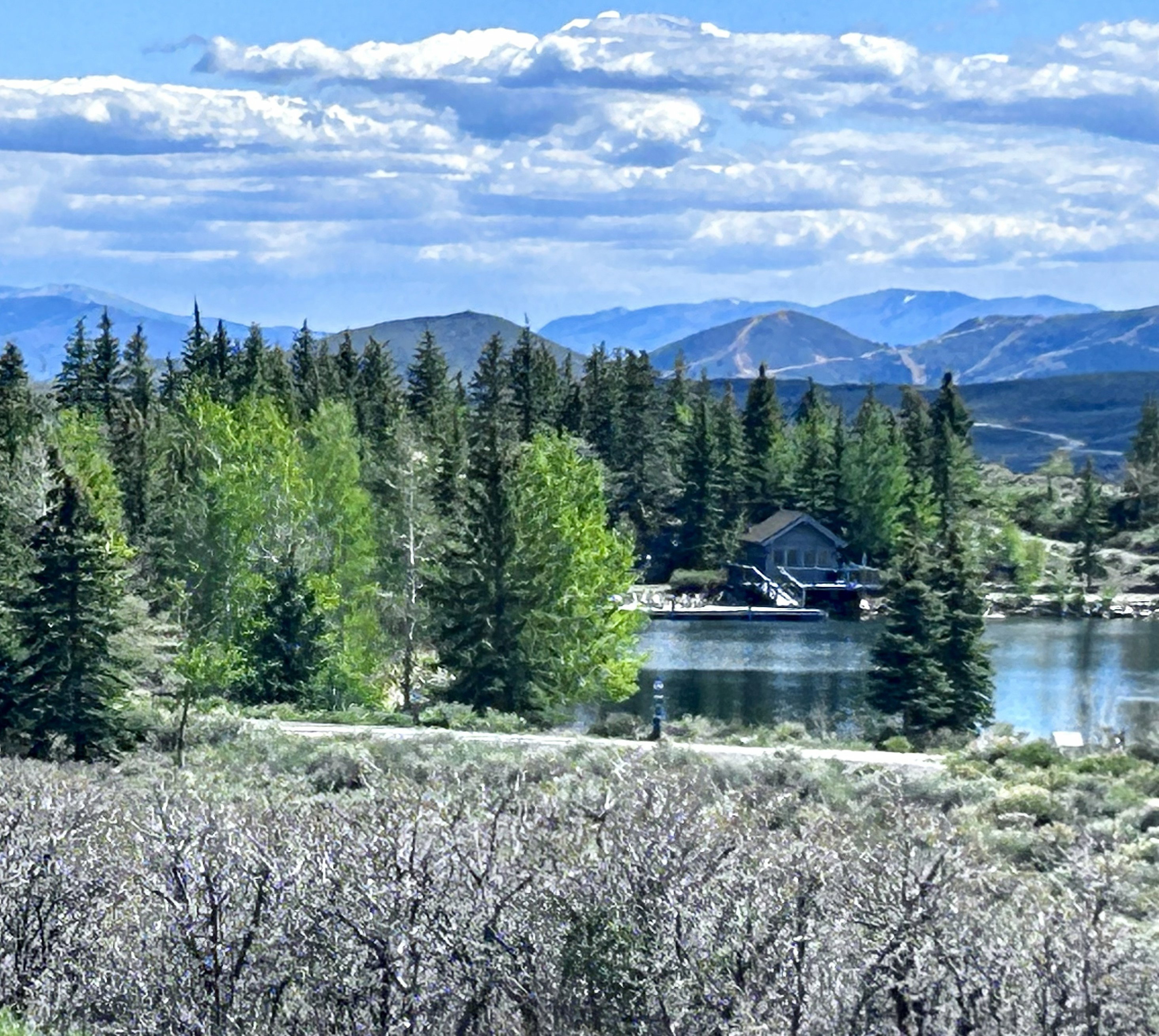 Lakeside property featuring a boat house with a dock, surrounded by mature evergreen and deciduous trees, with distant mountains under a cloudy sky