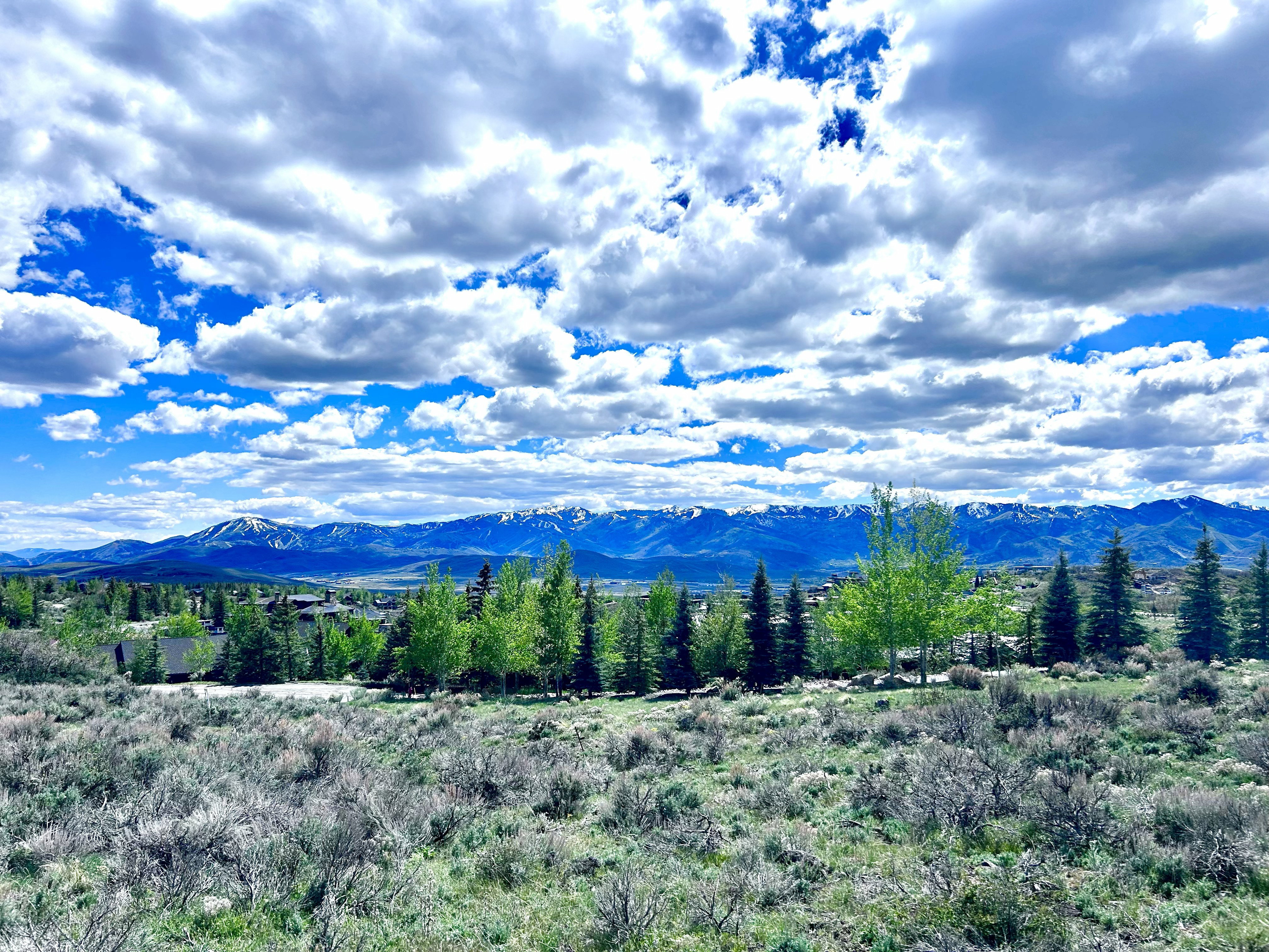 Expansive mountain landscape featuring distant snow-capped peaks and a foreground of natural vegetation