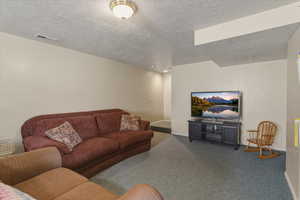 Carpeted living area with a textured ceiling and baseboards