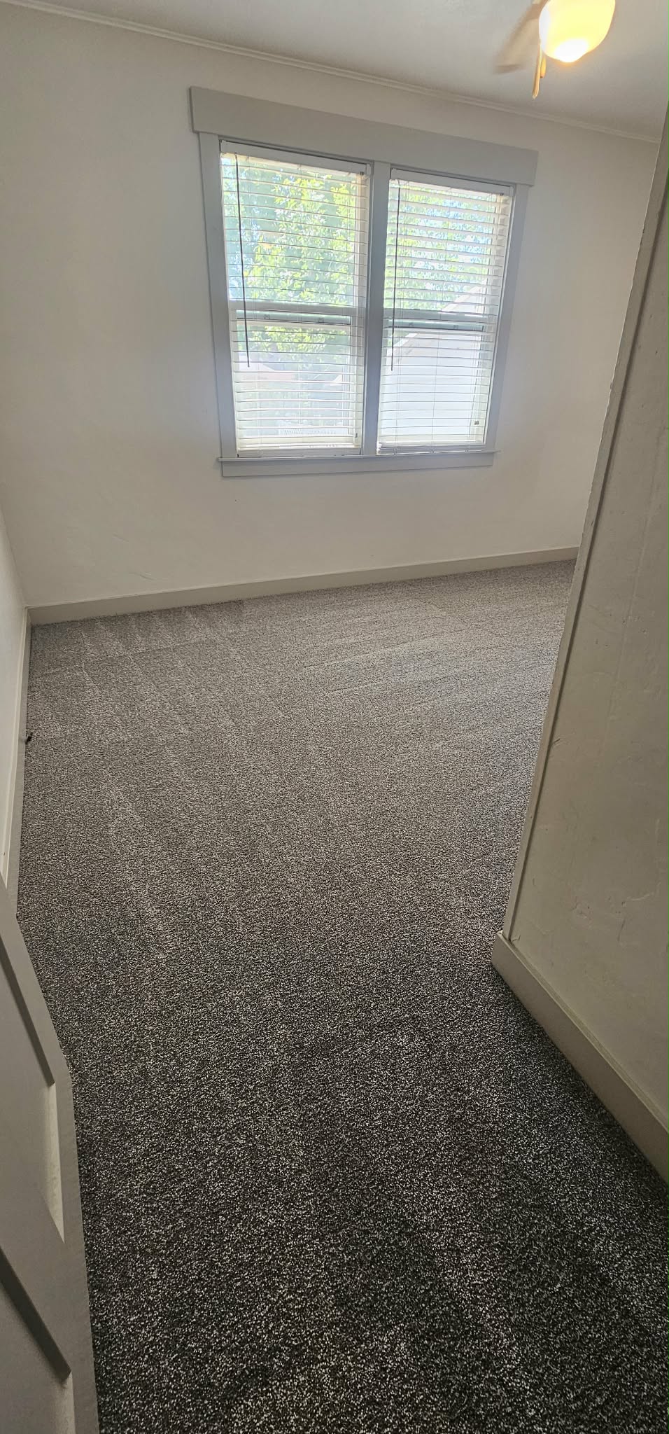 Brand new carpet installed 5/9/26