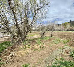 Southwest Corner looking North East