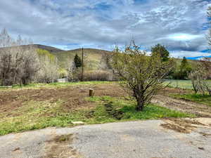 View of yard featuring a mountain view