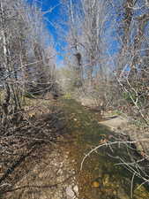 View of tree filled area with a water view
