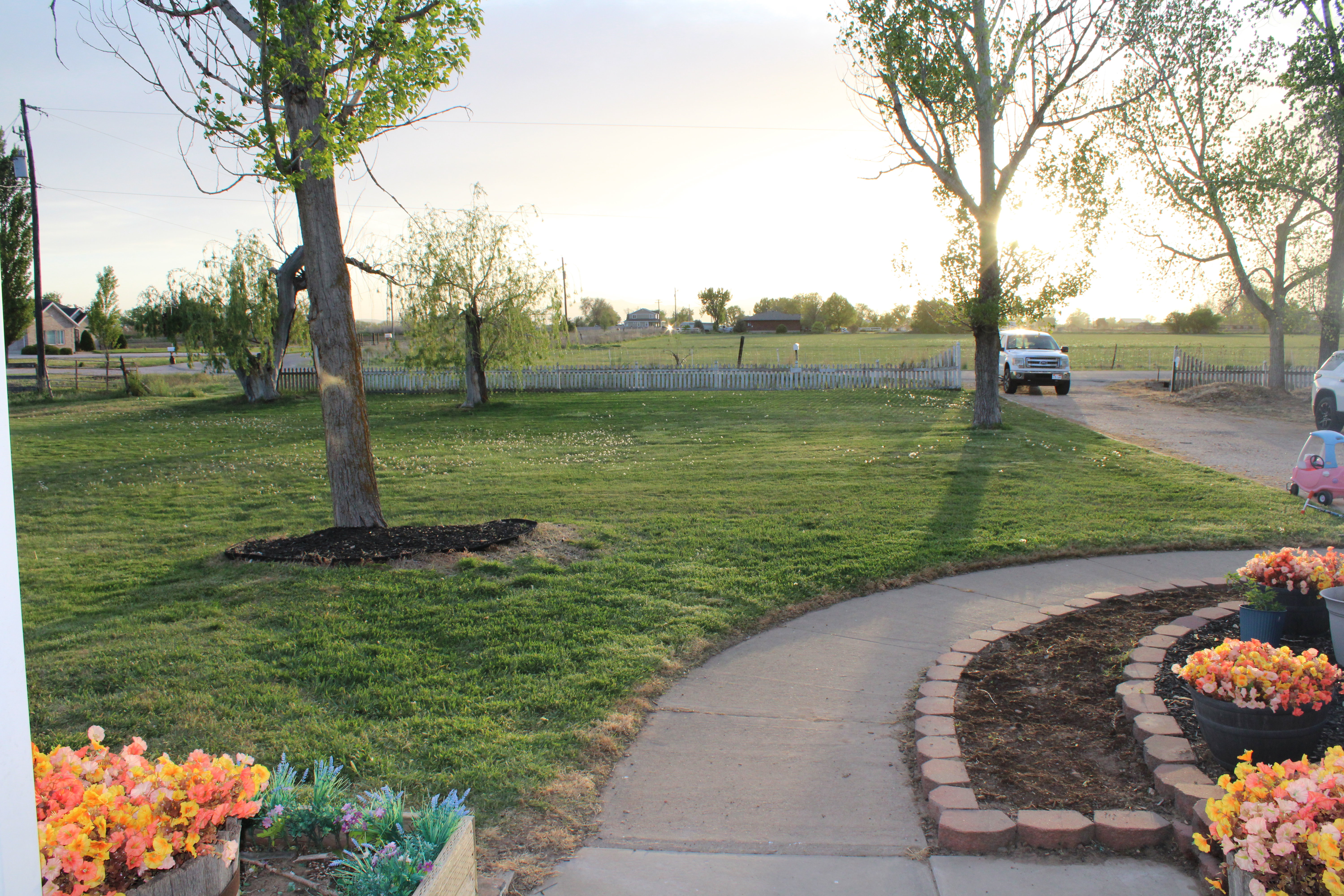 View of yard from front door