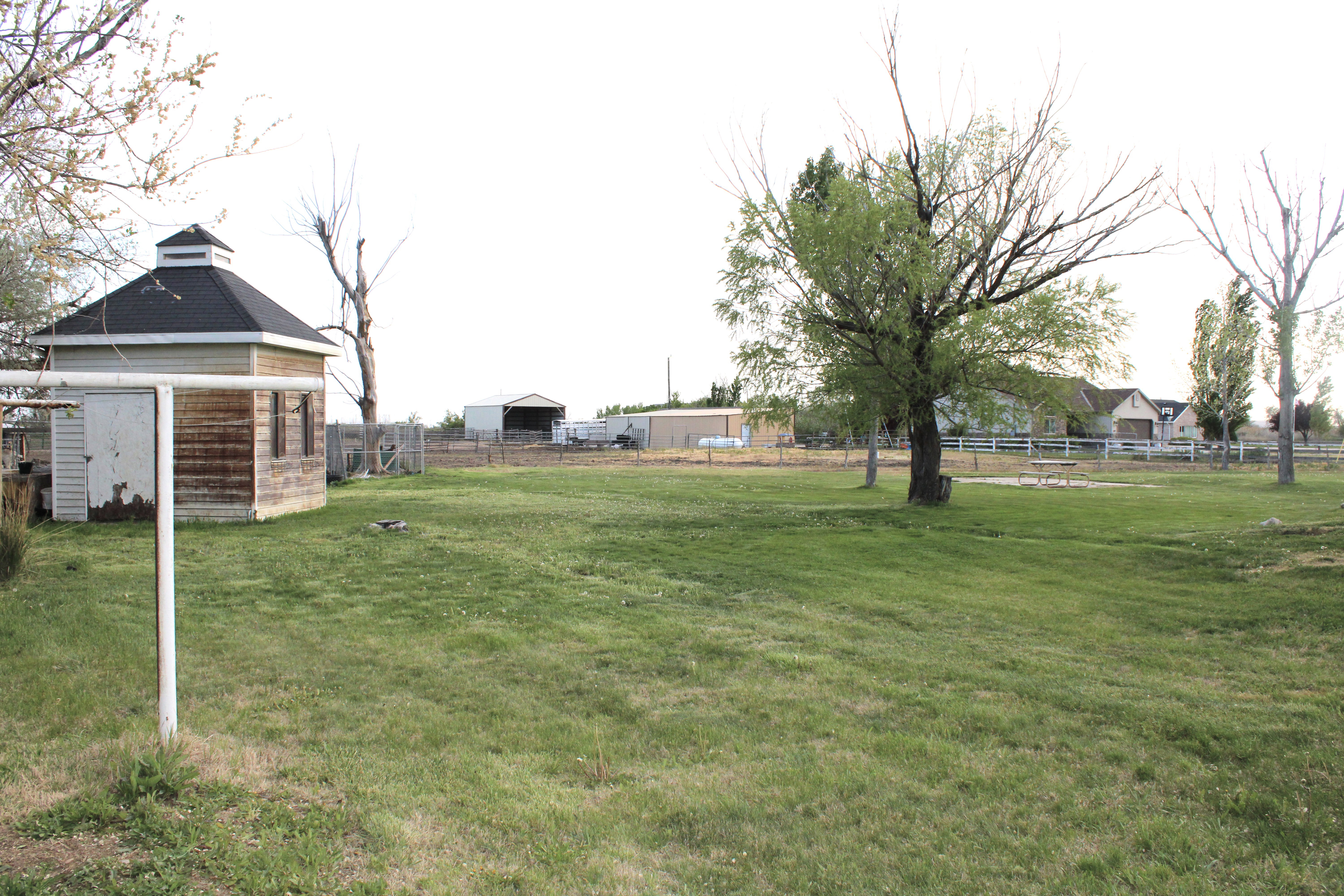 View of yard with shed