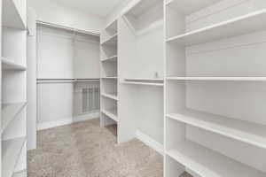 Walk in closet featuring light colored carpet, primary bedroom