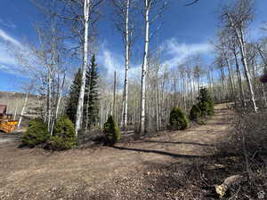 View of expansive front yard and circular driveway showing how far back cabin sits from road