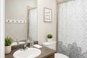 Full hall bathroom featuring curtained shower and vanity