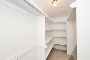 Walk in closet featuring light colored carpet