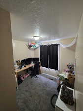 Carpeted office featuring a textured ceiling